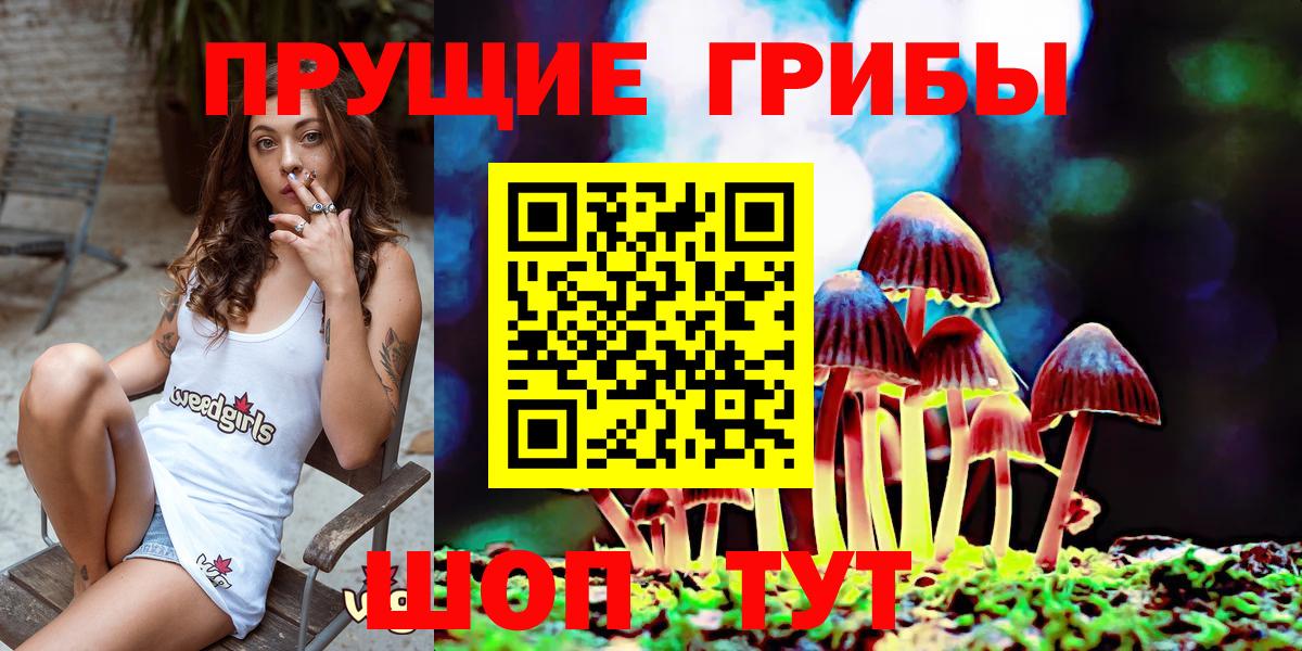 Галлюциногенные грибы Magic Shrooms Сланцы