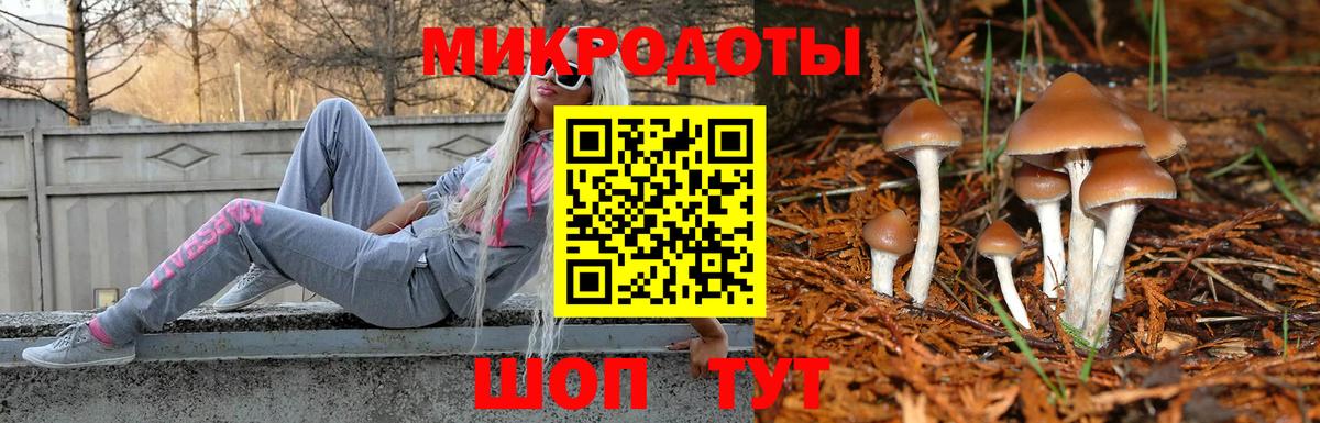 Сланцы  Галлюциногенные грибы Cubensis  Галлюциногенные грибы ЛСД  Вход с VPN 